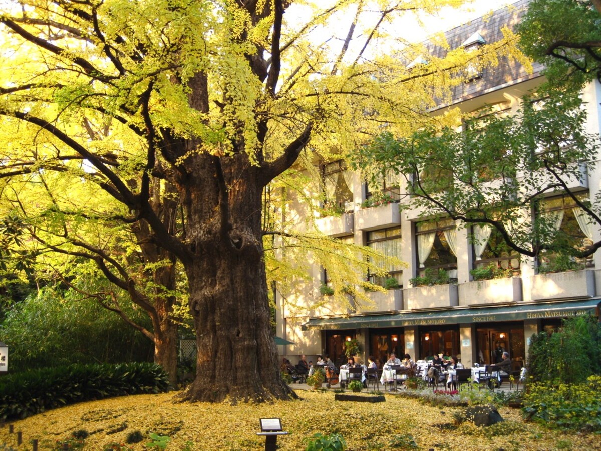 3. Matsumotoro / สถานี Hibiya