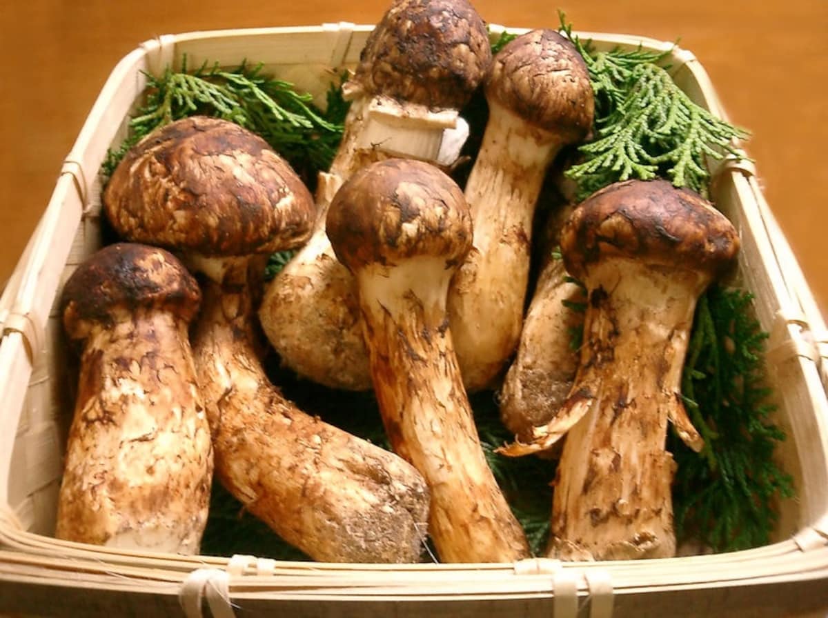 4. 'Matsutake' Mushrooms