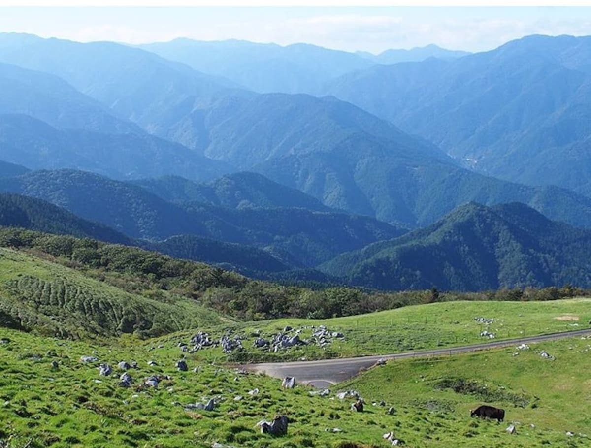 4. Shikoku Karst (Aichi & Wakayama Prefectures)