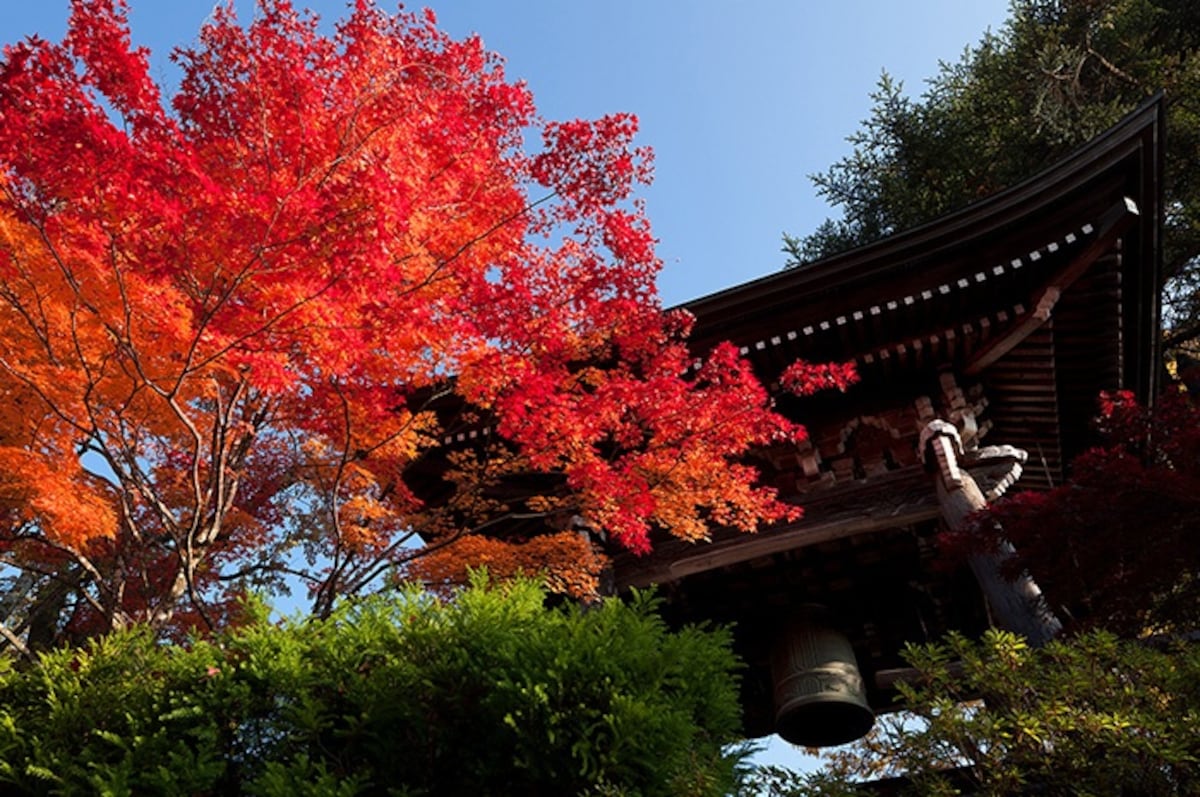 1. Higashiyama Temple Area