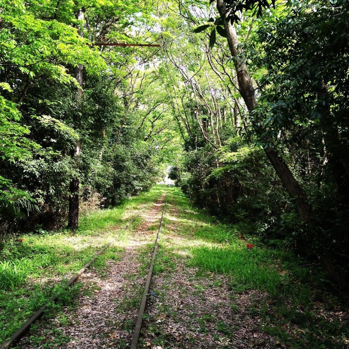 8. Seibu Ahina Line (Saitama)