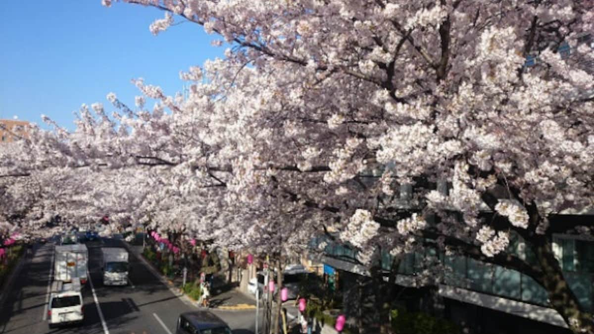 10. Nakano-dori (Tokyo)