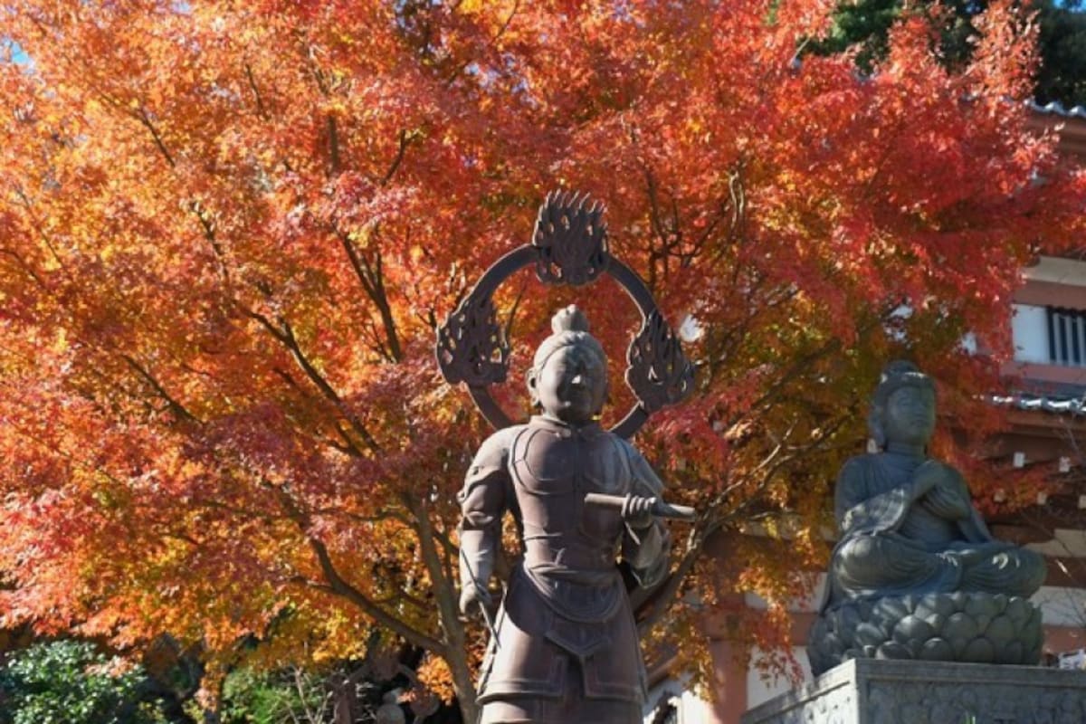 8. Hase-dera Temple