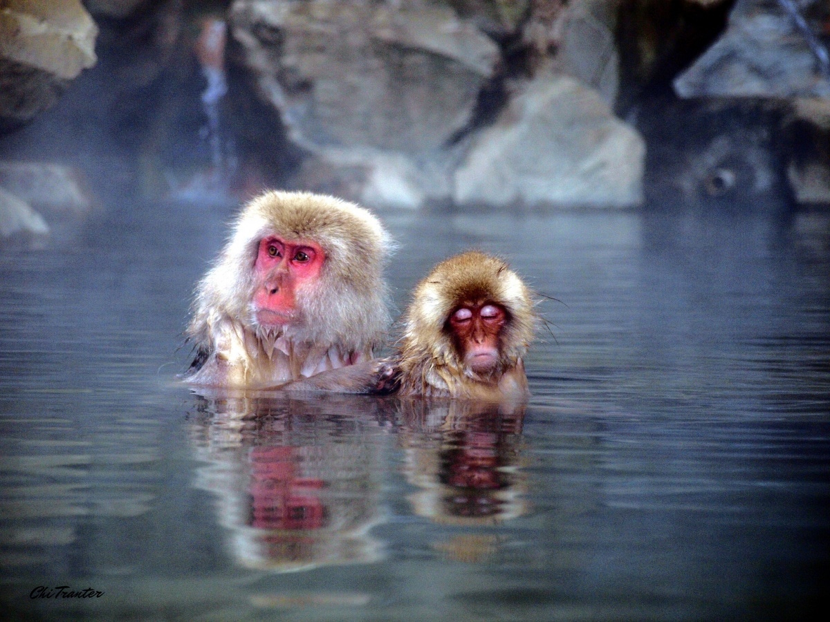 14. Relax in an Onsen…