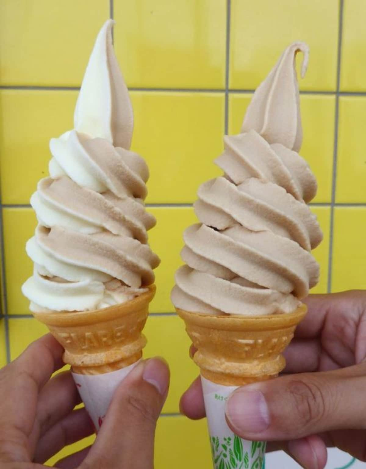 Have some delicious Soft serve ice cream in Hakodate