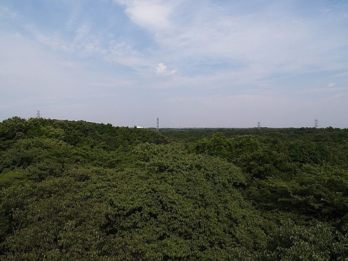 3. My Neighbor Totoro: Sayama Hills (Tokyo)