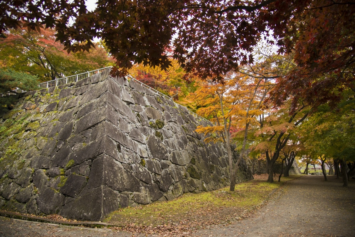 5. Iwate Park (Iwate)