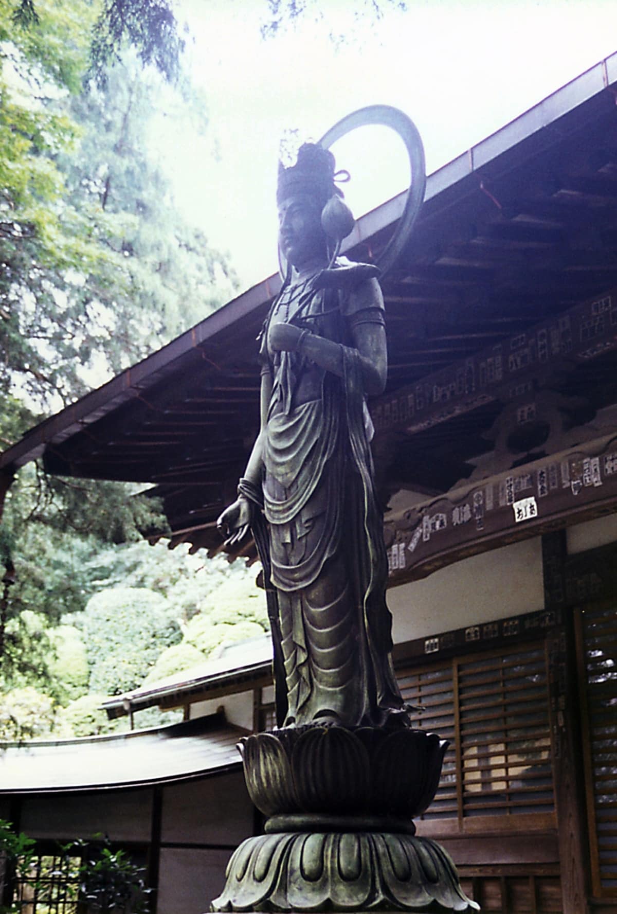 6. Kannon