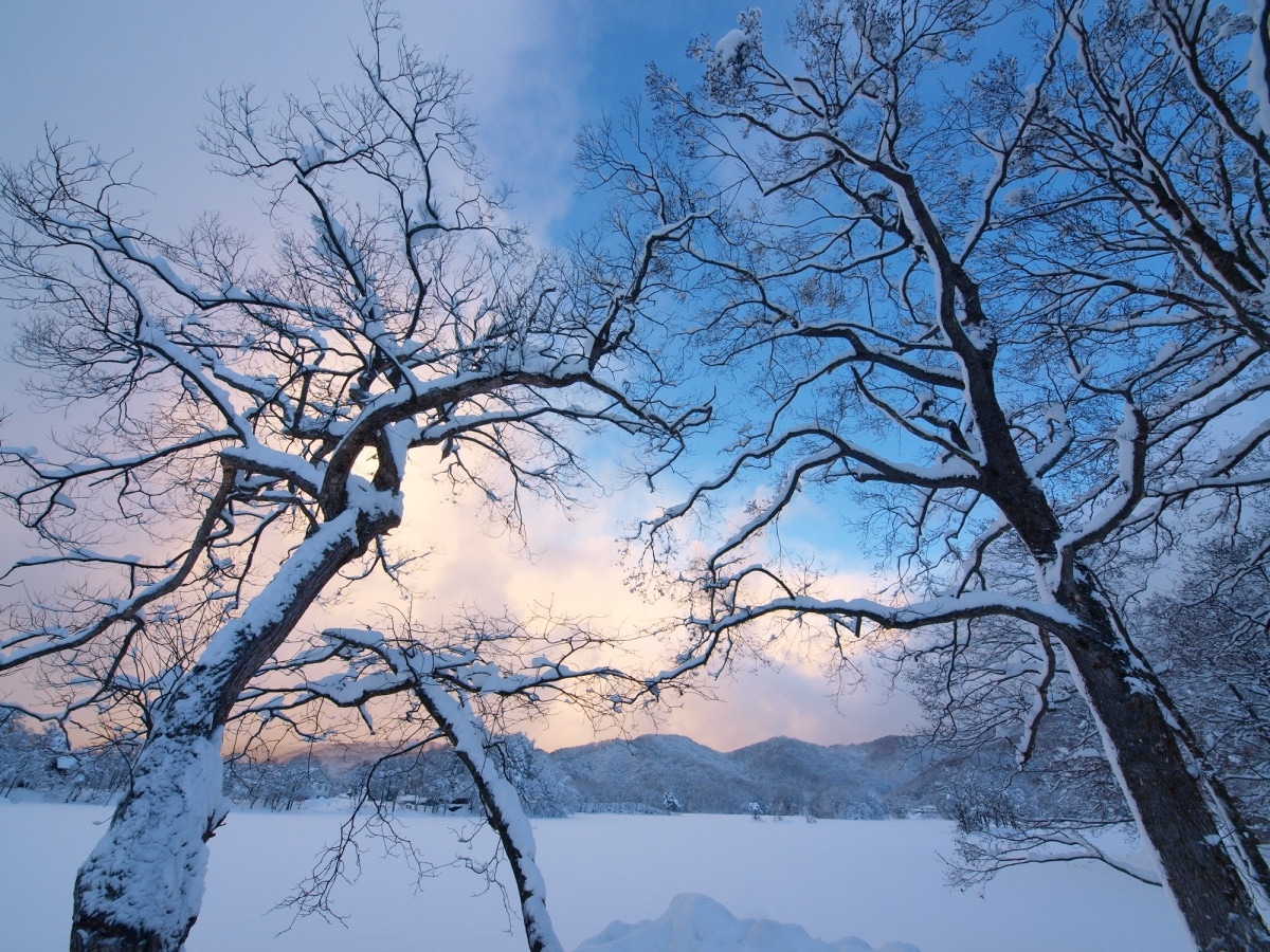 Japan's 8 Prefectures with the Most Snow | All About Japan