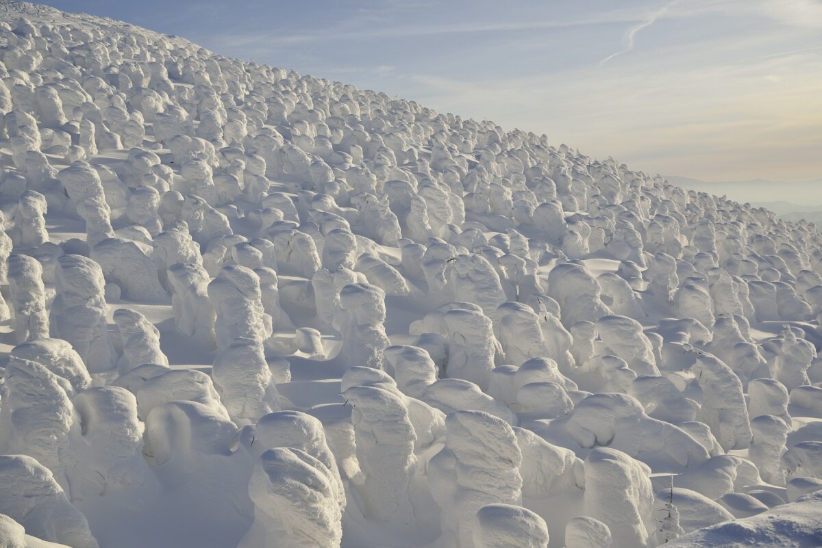 5. Zao Snow Monsters (Yamagata)