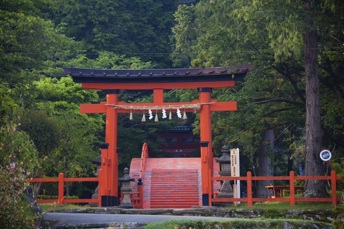 經過鳥居先鞠一躬吧
