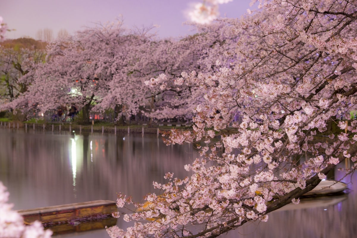 Kanto Region: Ueno Park (Tokyo)