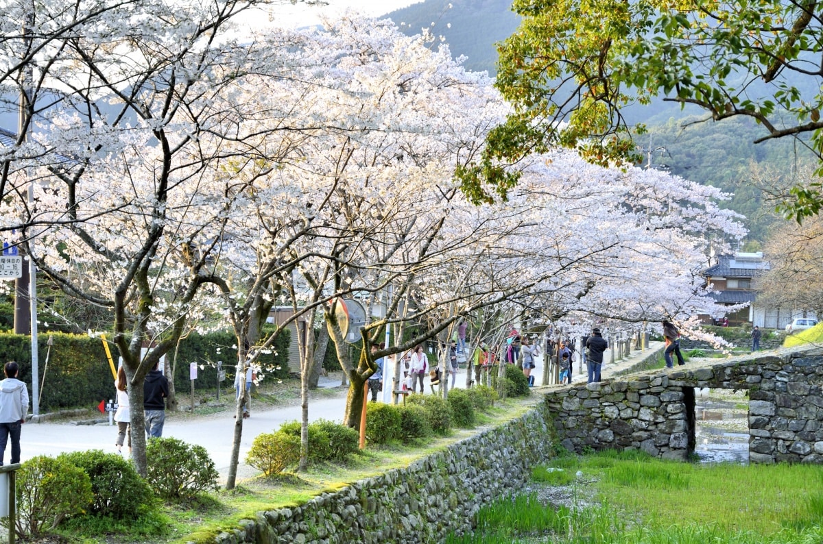 Kyushu: Akizuki Castle Ruins (Fukuoka)