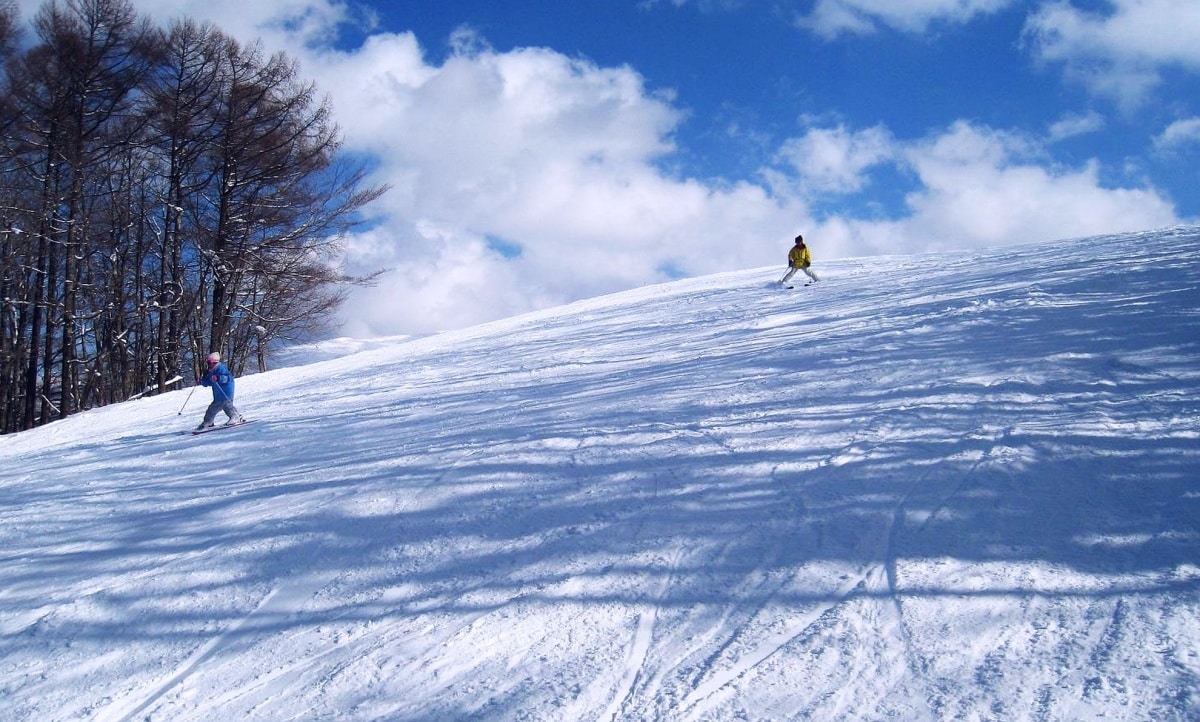 3. Sugadaira Kogen (Nagano)