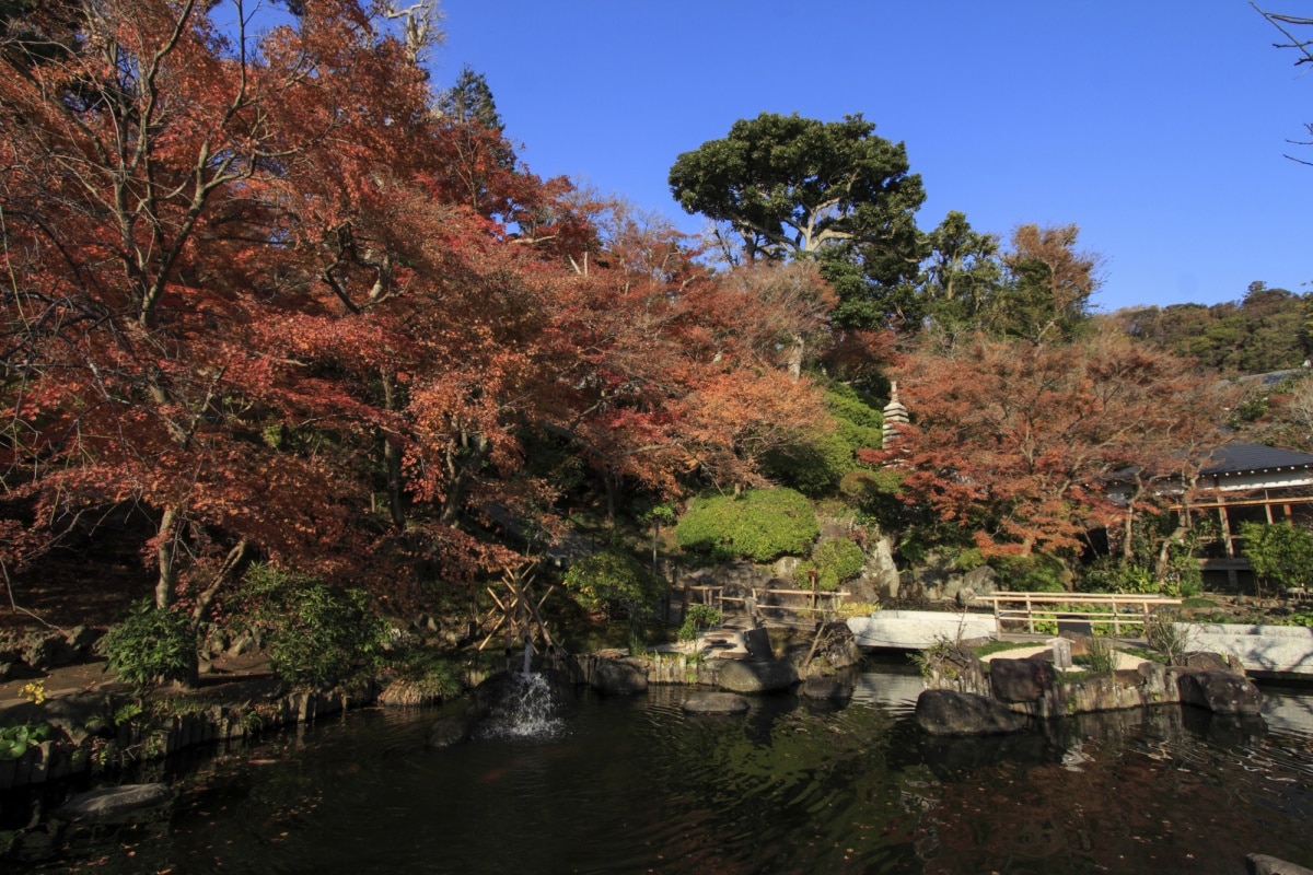 Hasedera Temple