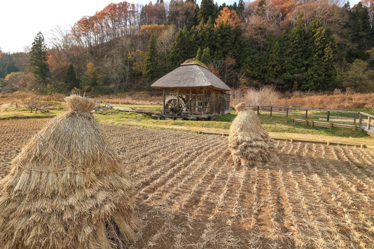 2. Takko (Aomori)