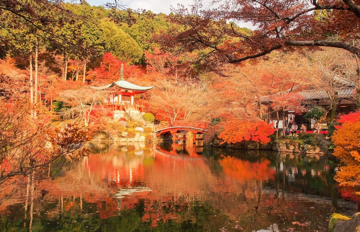 印象派的亮色｜醍醐寺夜晚紅葉點燈（11月末到12月初）