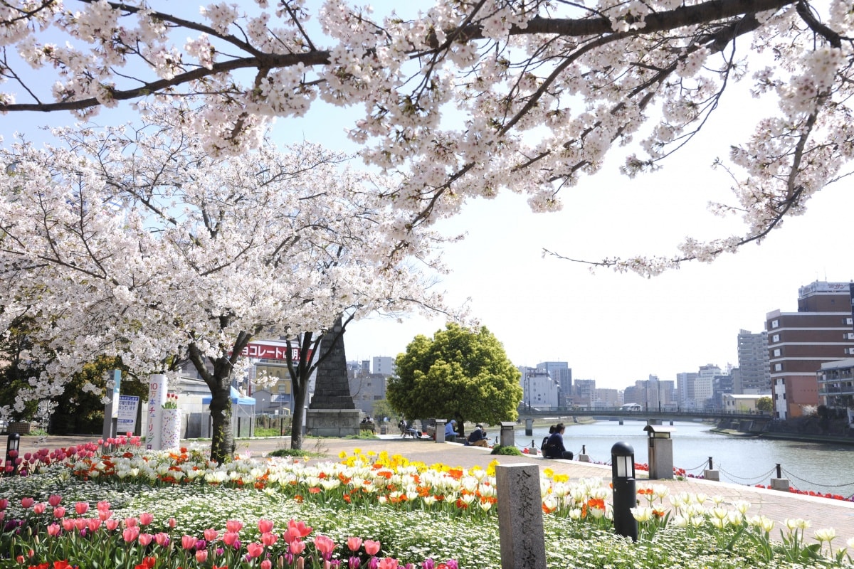 7. ฟุคุโอกะ สวนเซย์ริว (清流公園)