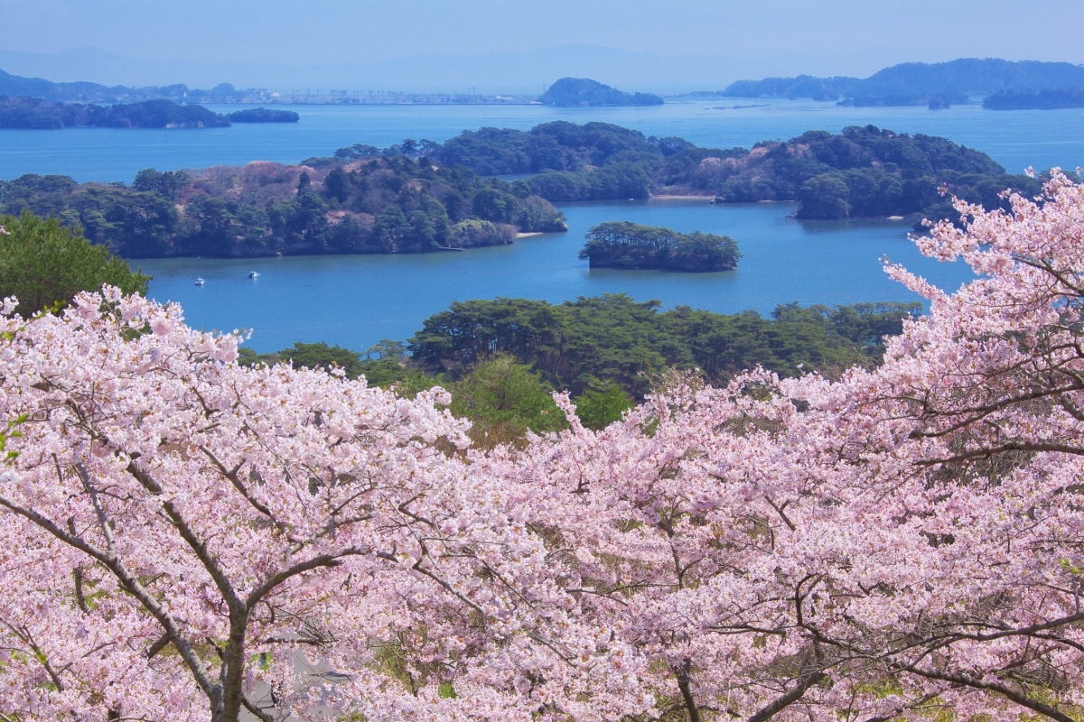 5. จังหวัดมิยางิ สวนไซเคียว โมโดชิ โนะ มัตสึ (西行戻しの松公園)