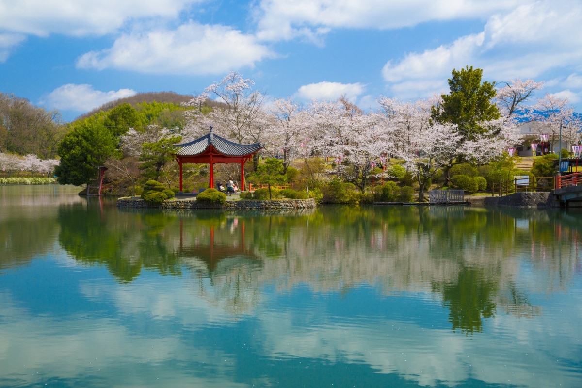 4. จังหวัดฮิโรชิมา สวนอุเอโนะ （上野公園）