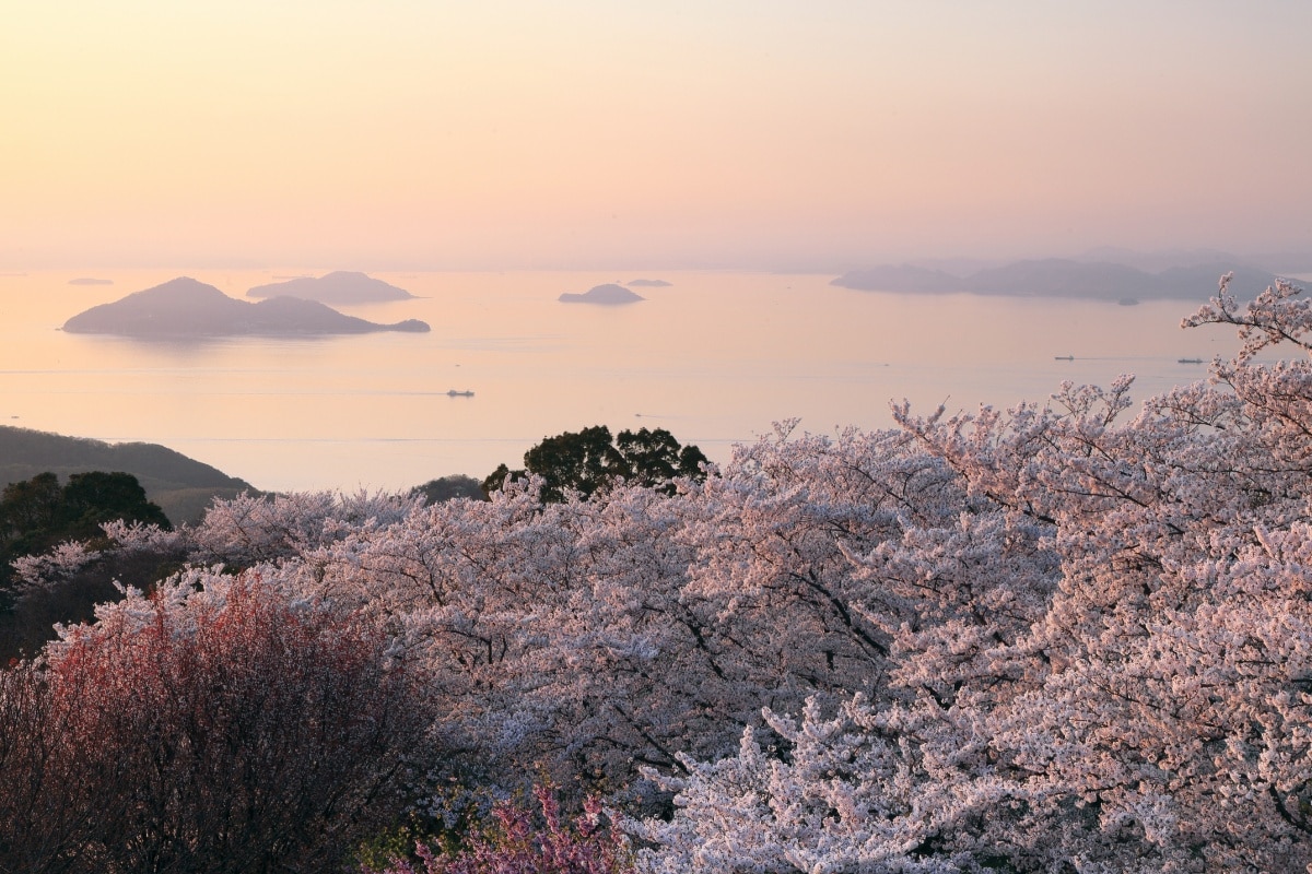 3. จังหวัดคากาว่า จุดชมวิวบนเกาะชิอุเดะยามะ（紫雲出山）