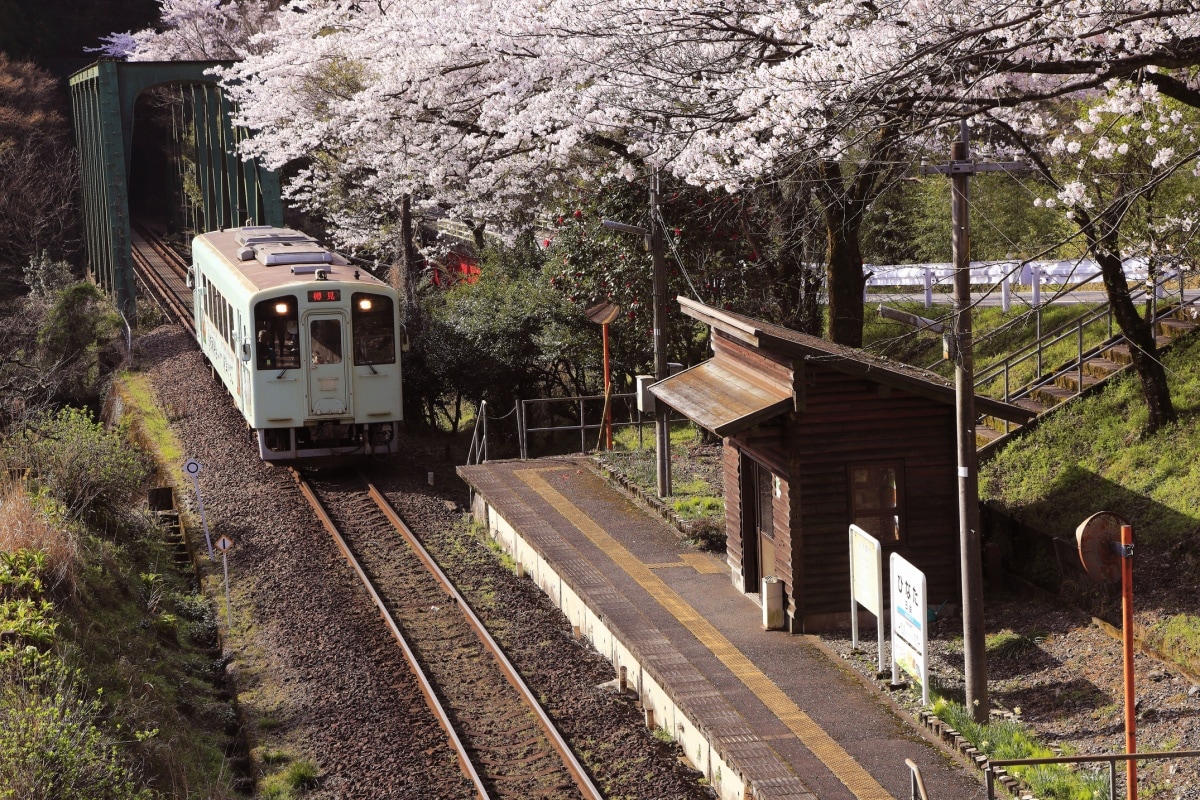 2. จังหวัดกิฟุ สถานีฮินาตะ (日当) รถไฟสายทารุมิ เท็ตสึโด (樽見鉄道)