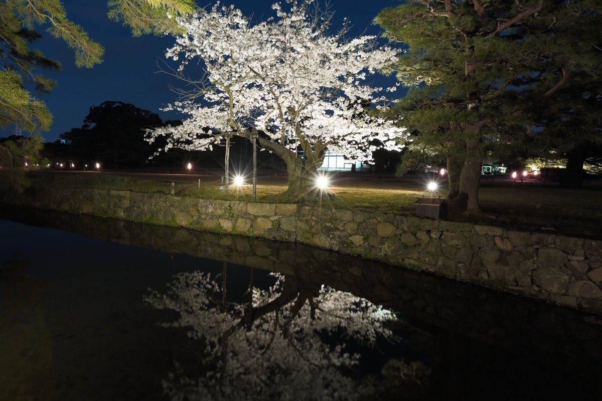 6. Ritsurin Garden (Takamatsu City, Kagawa)