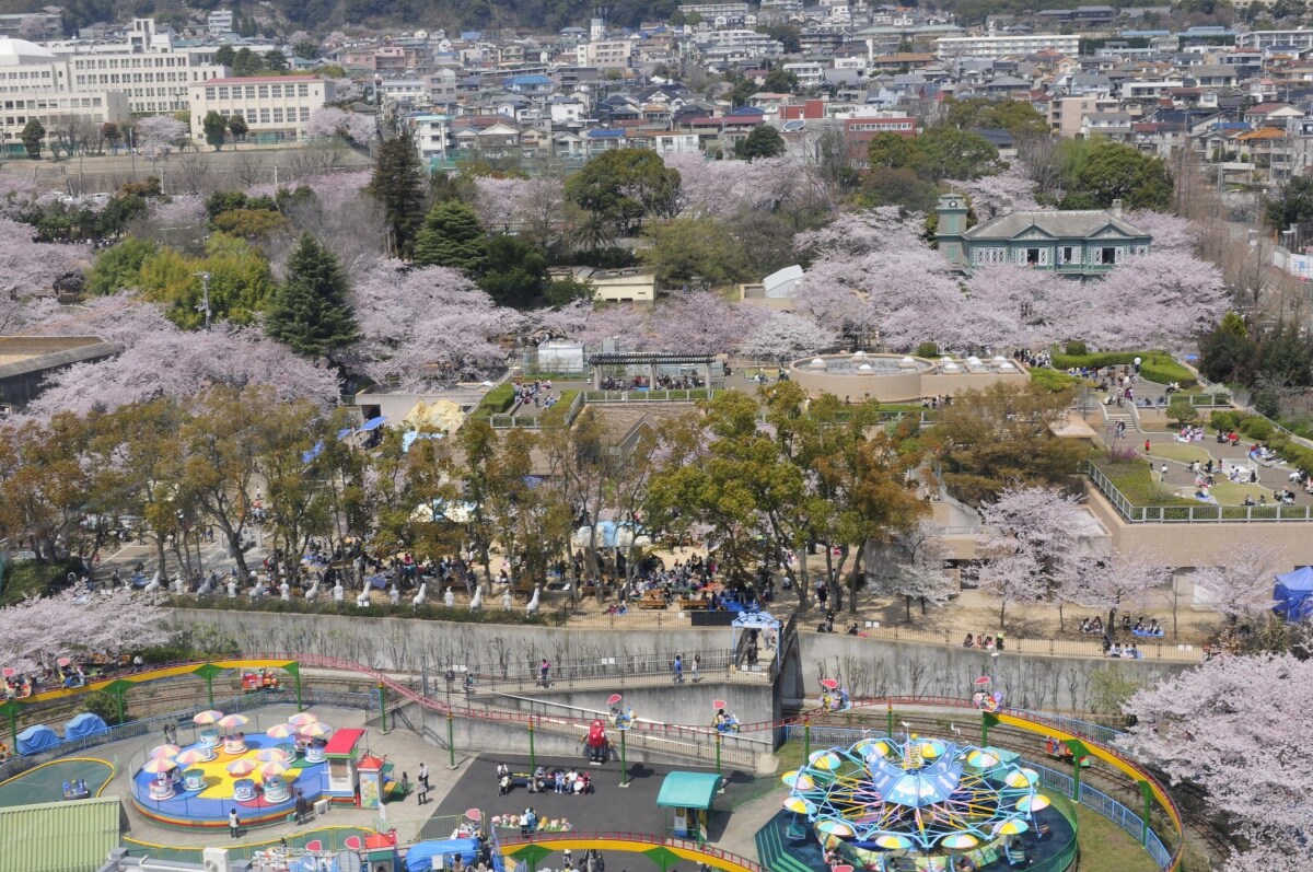 3. Oji Zoo