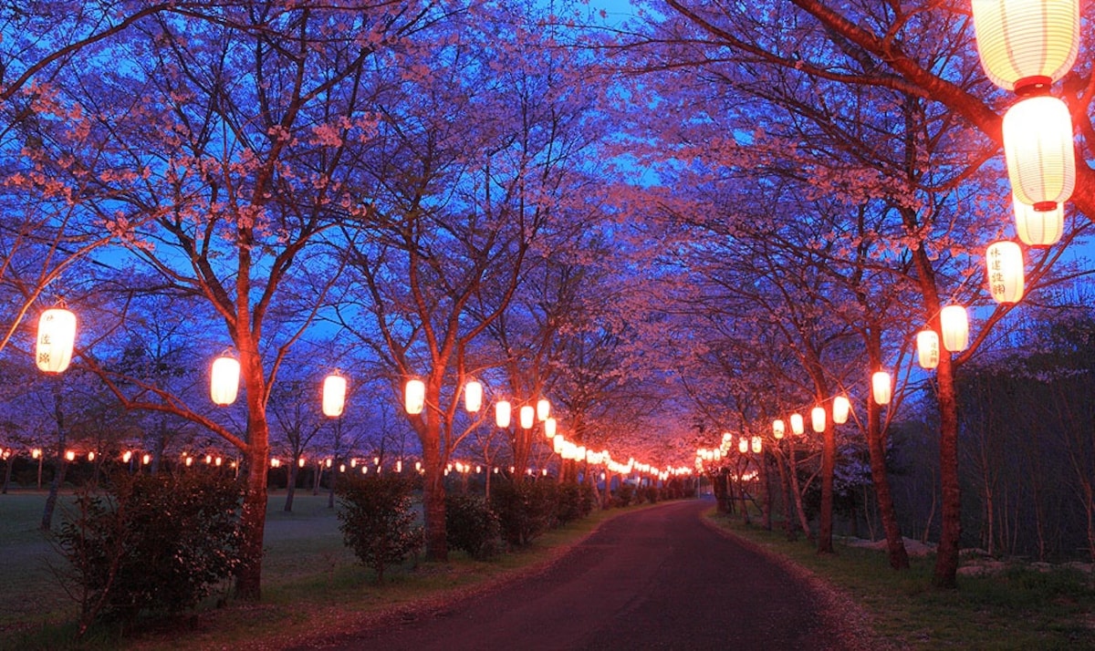 NO.6 忠元公園 （鹿兒島）