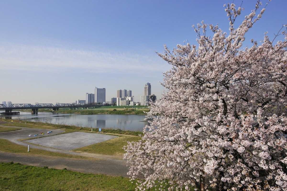 1. 多摩川ガス橋綠地 （東京都大田區）