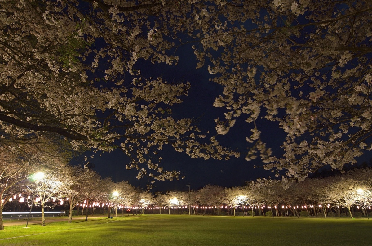 4. Tadamoto Park (Kagoshima)