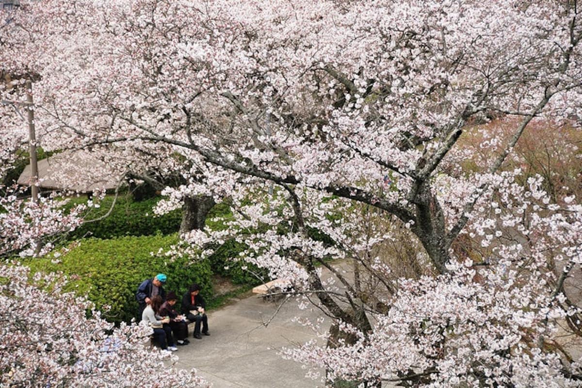 3. Hosshin Park (Fukuoka)