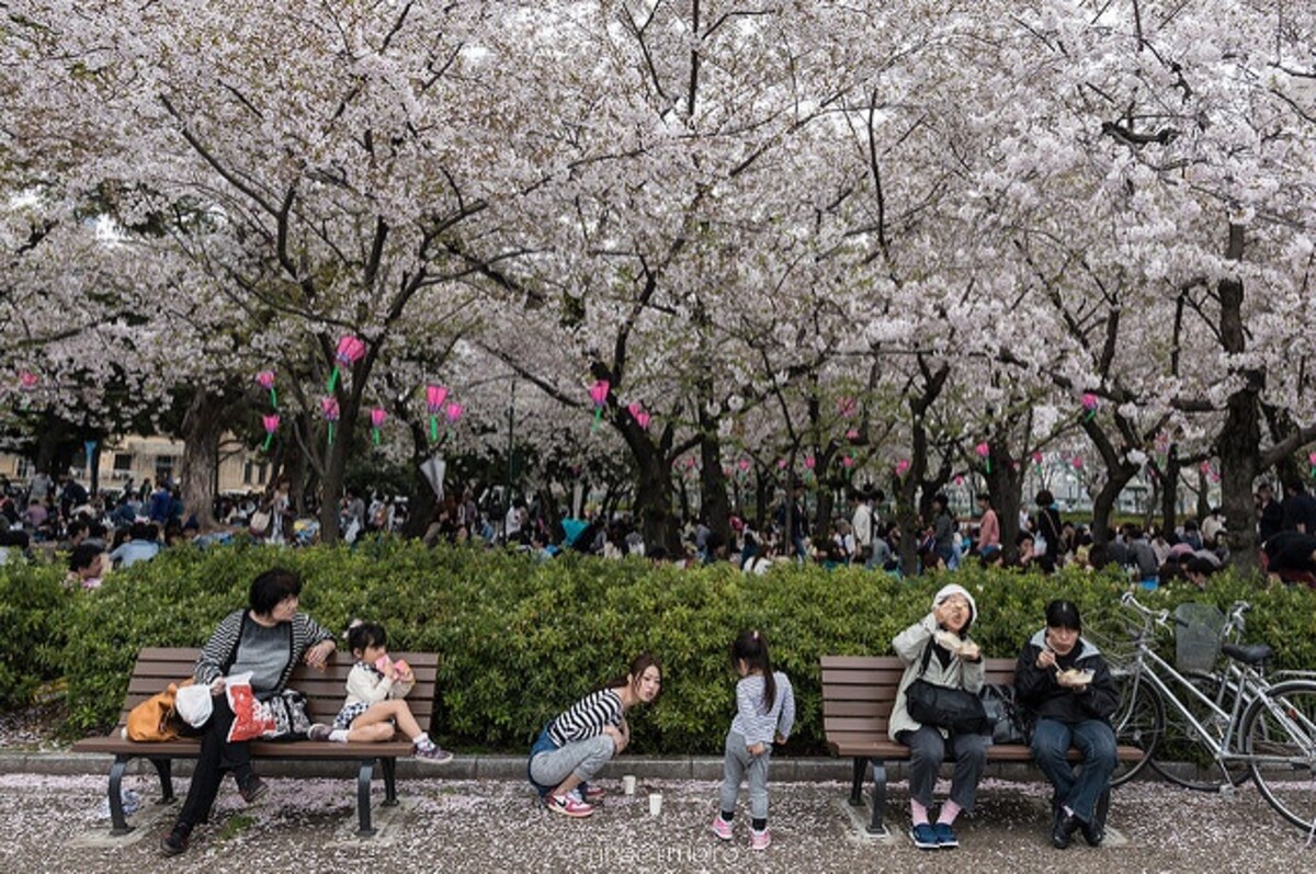 1. Tsuruma Park (Nagoya, Aichi)