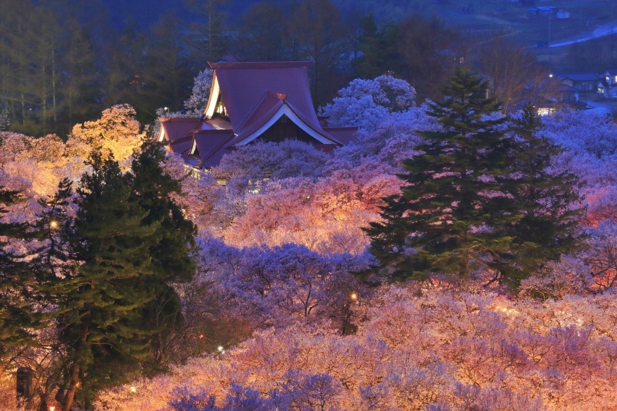 5. สวนสาธารณะซากปราสาททาคาโตะ (Nagano)