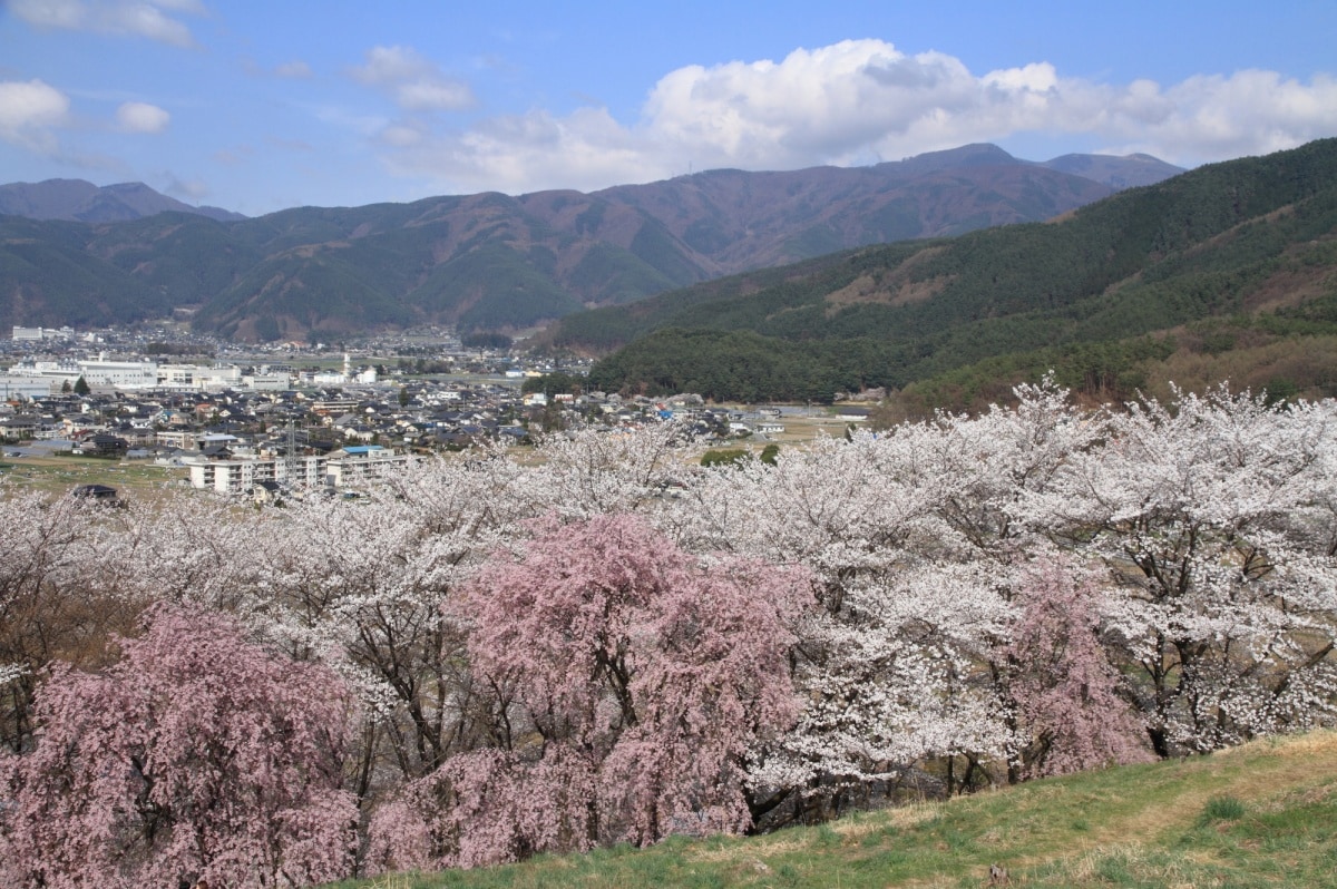 4. Mount Kobo (Kanagawa)