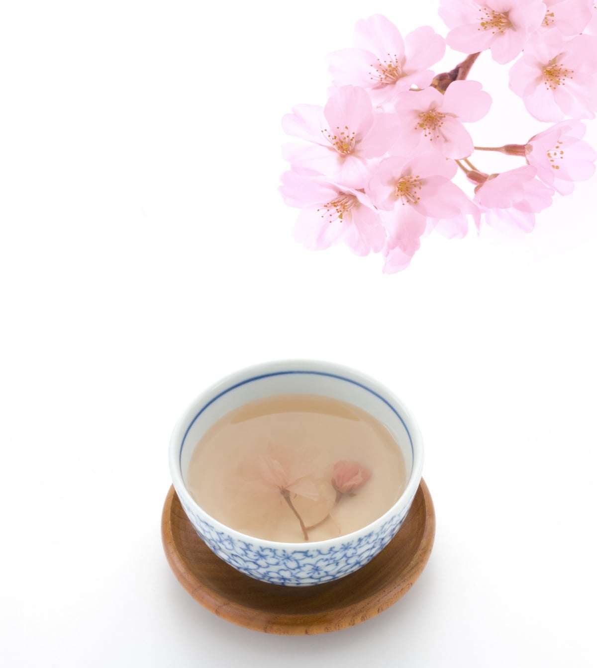 100 Best Drinks from Japan: #3 Sakura Tea | All About Japan