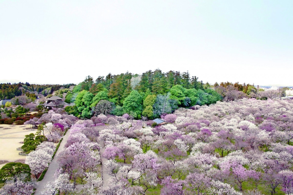 Kairakuen