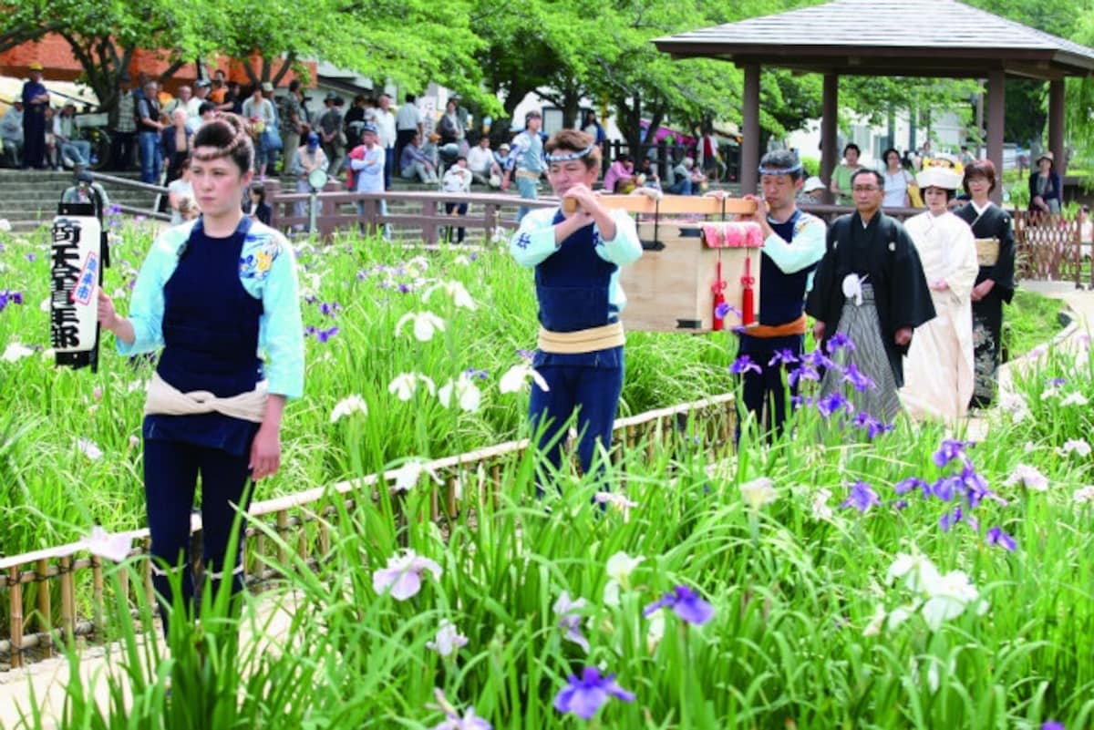 Itako Riverside Iris Park