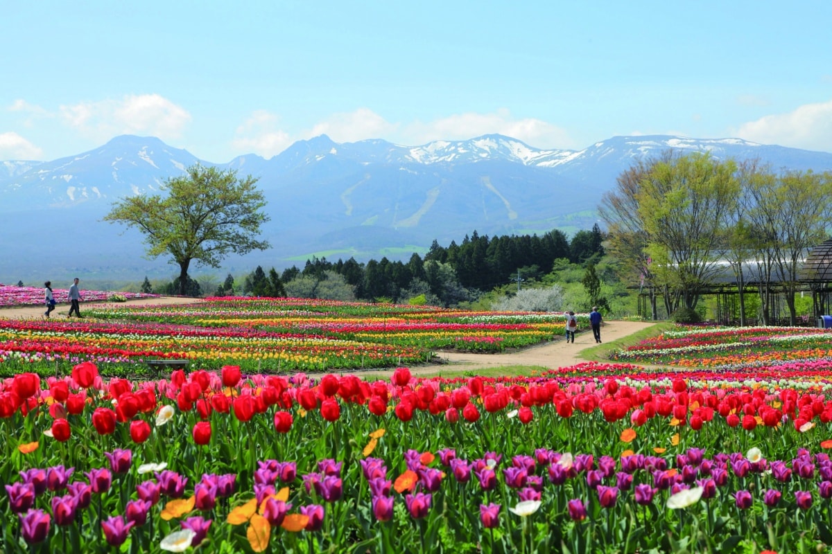 Nasu Flower World