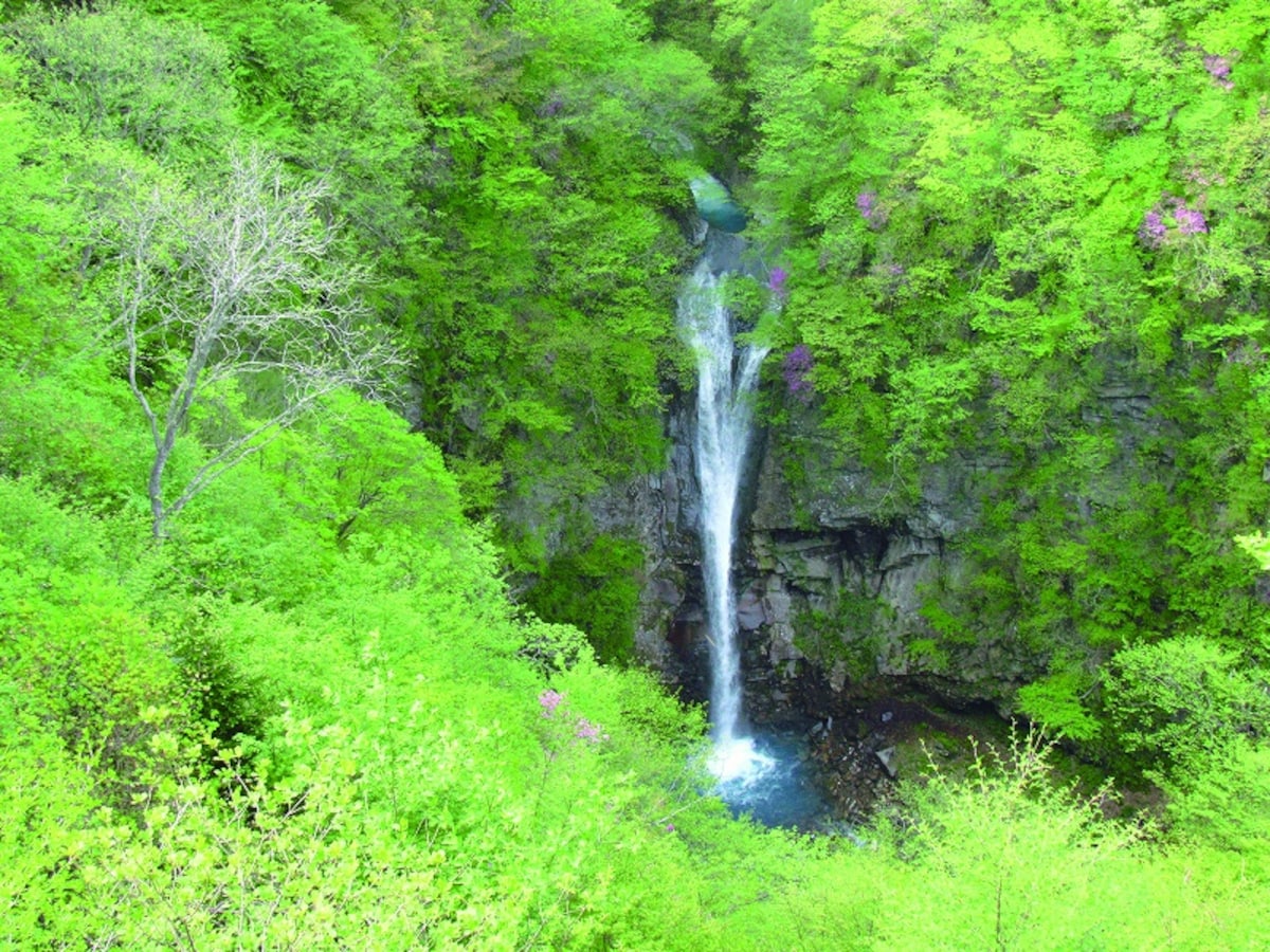 Nasu Heisei-no-Mori Forest