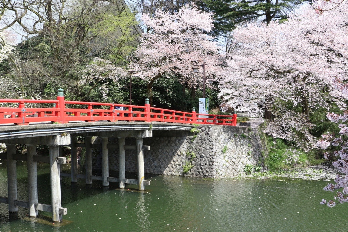 3. Takaoka Old Castle Park (Takaoka, Toyama)