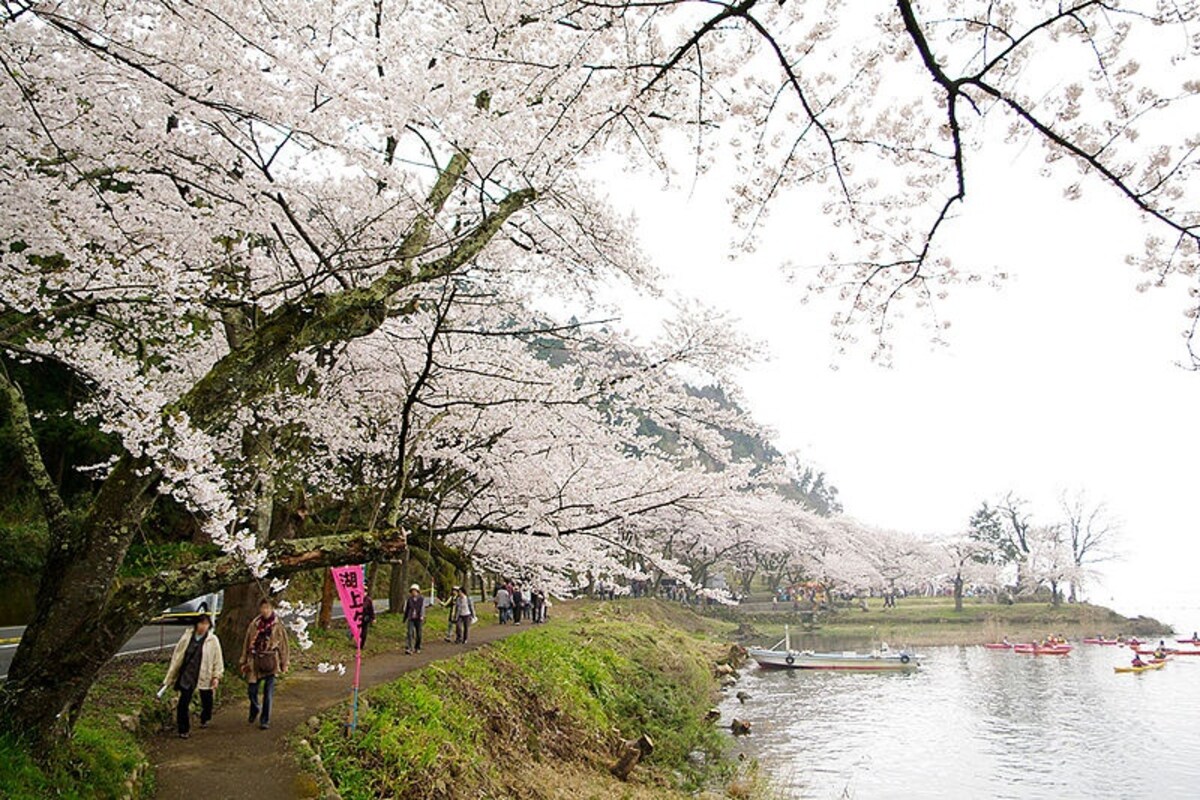 National Cherry Blossom Festival - Wikipedia