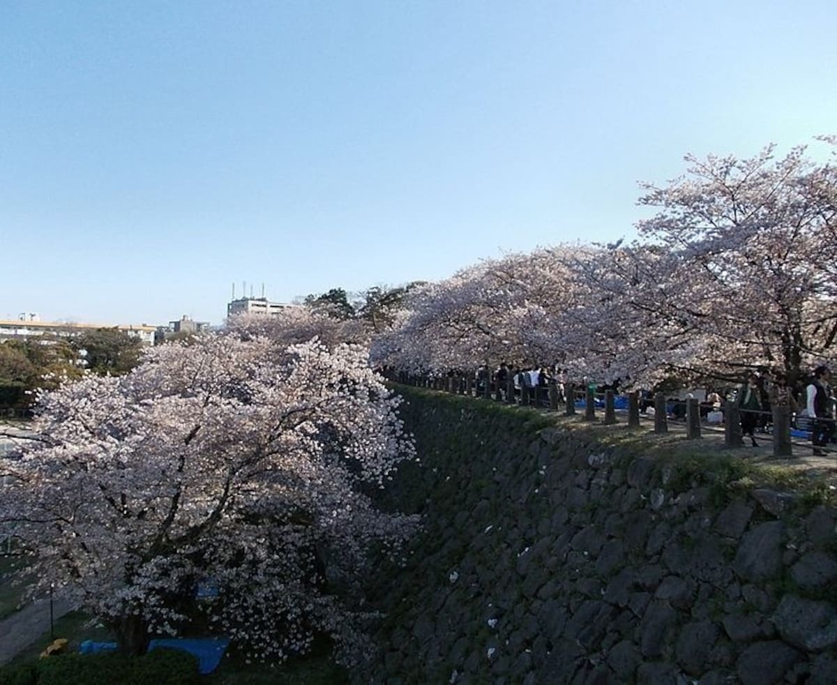 Kyushu Area