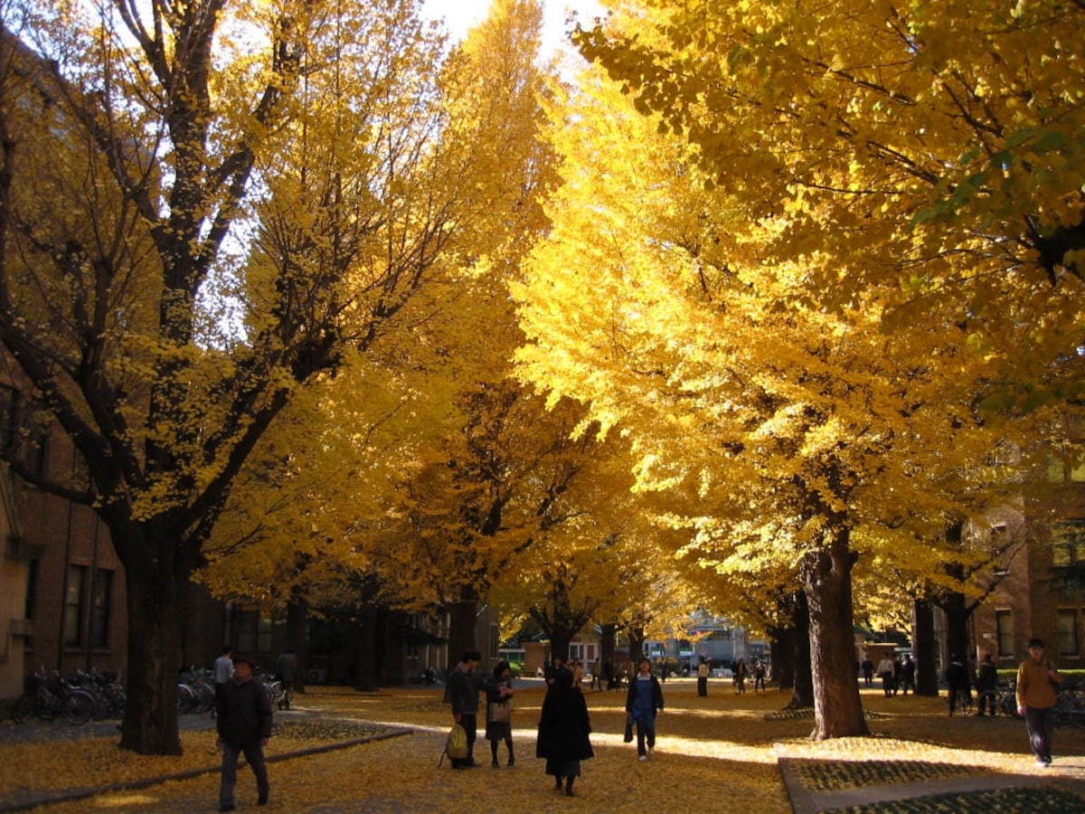 2. Take it Easy with a Tokyo Metro One-Day Open Ticket