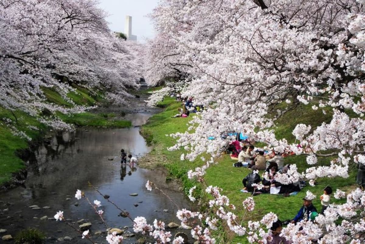 2. Enjoy Negawa Ryokudo and Zanbori River