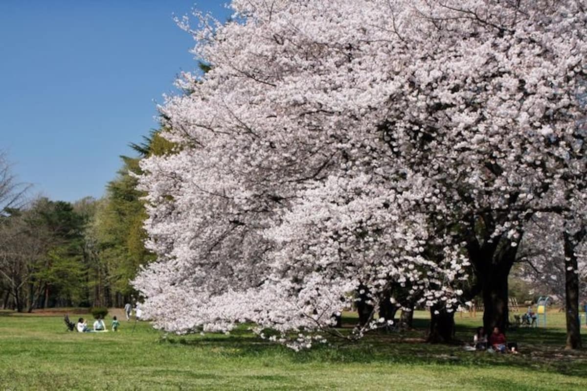 3. Enjoy Negawa Ryokudo and Zanbori River