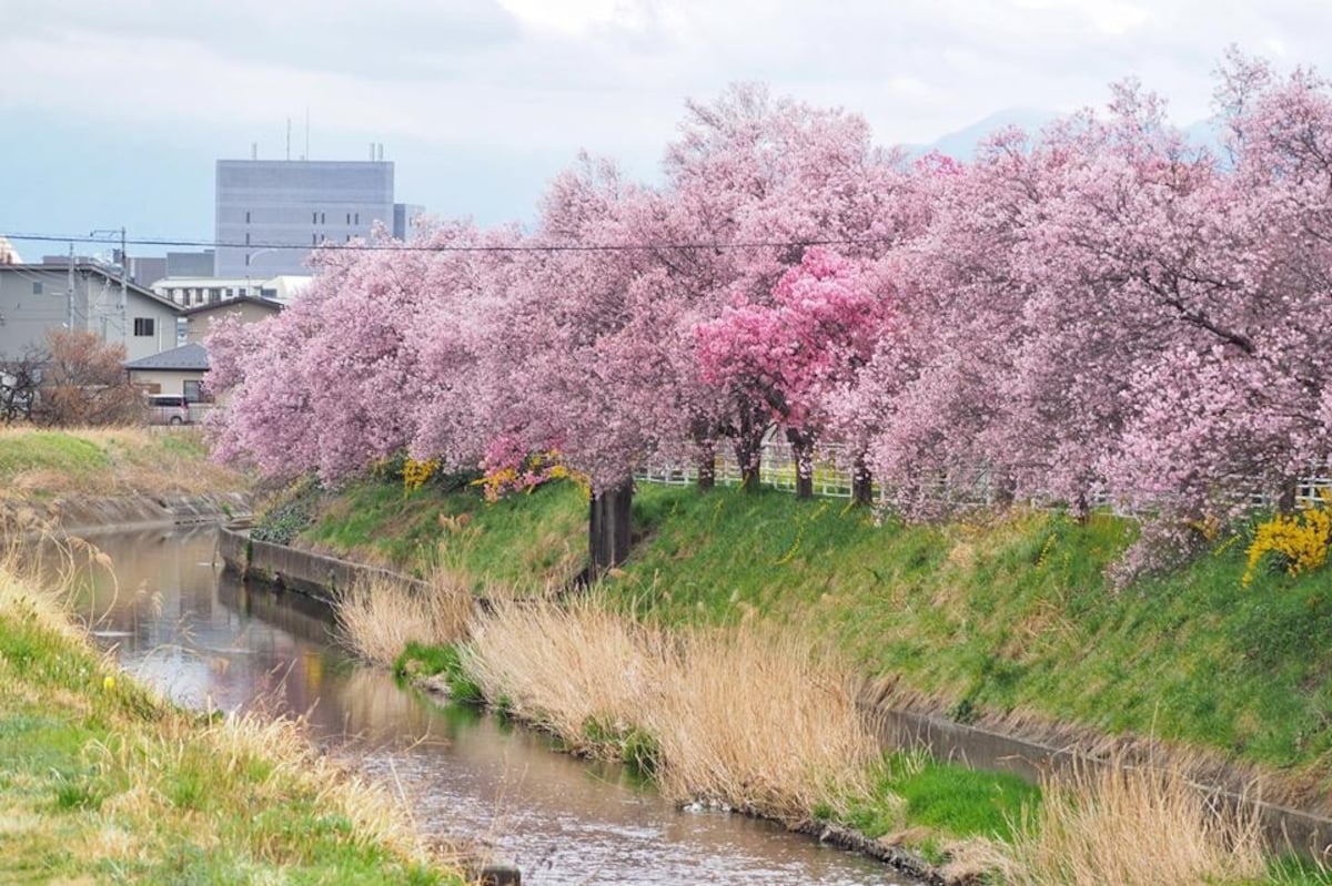 ทางเดินริมแม่น้ำ Arakawa