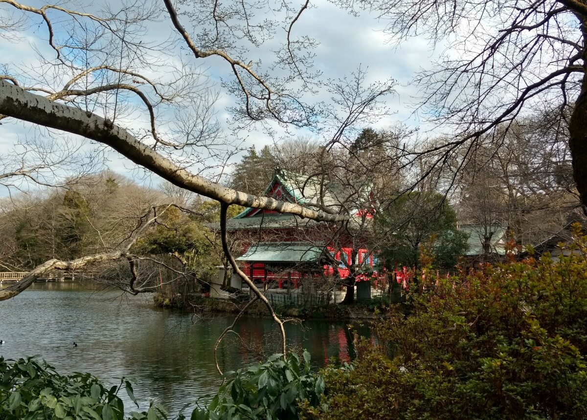 4. Greenery Day: Take the Train to Inokashira Park