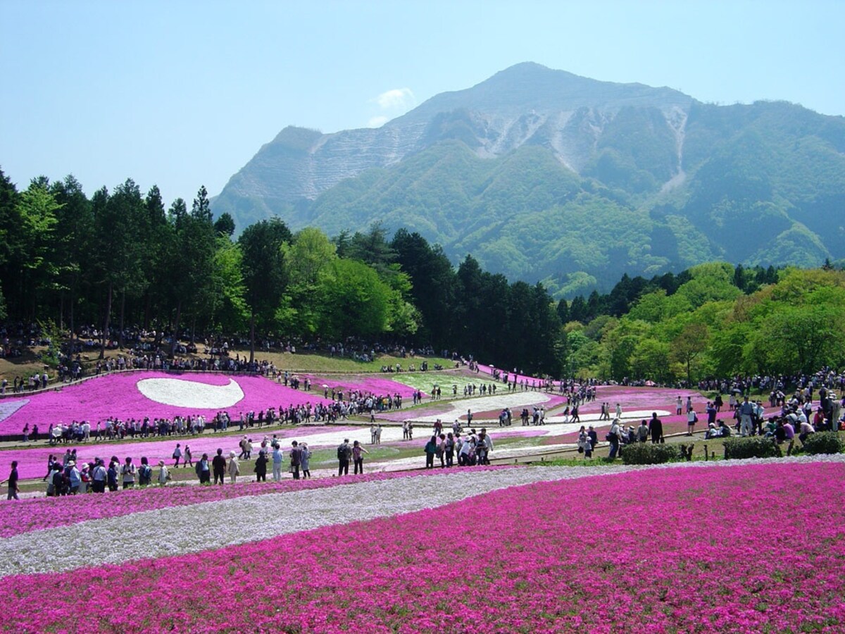 4. Hitsujiyama Park (Saitama)