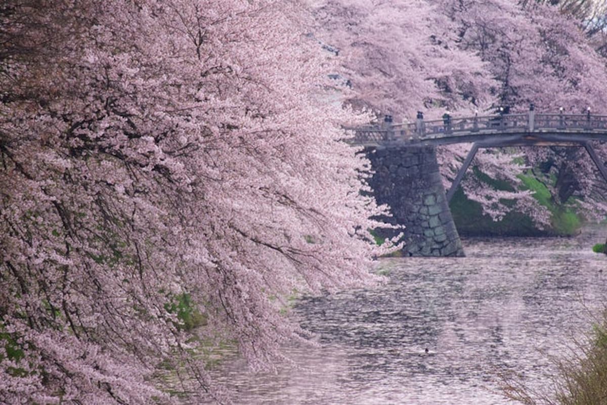 ■霞城公園 (山形)